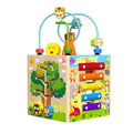 Miosea 5-in-1 Wooden Bead Maze Puzzle